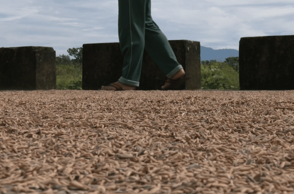 Photo via GMA Regional TV One North Central Luzon