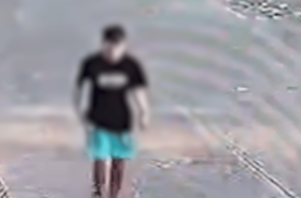 Photo courtesy of Katrina Ann