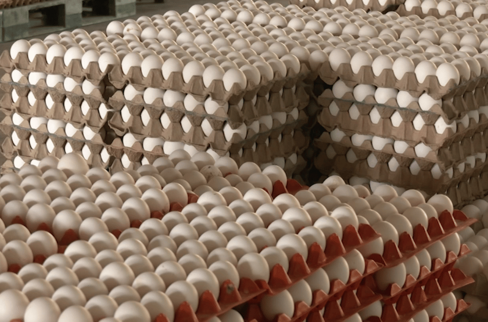 Photo via GMA Regional TV One North Central Luzon