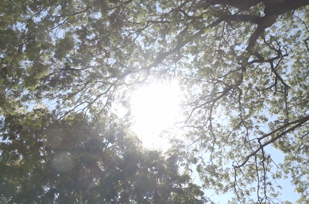 Photo via GMA Regional TV One North Central Luzon