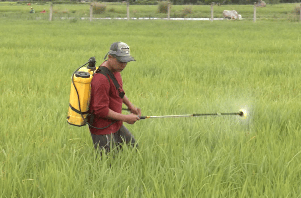 Photo via GMA Regional TV One North Central Luzon