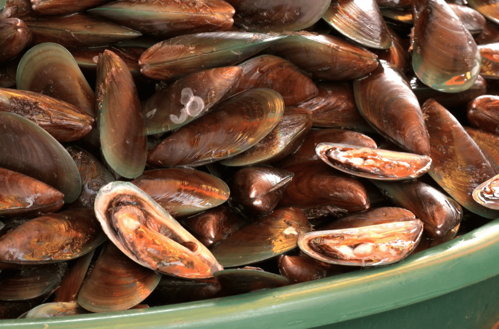 Photo via GMA Regional TV One North Central Luzon