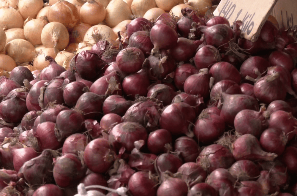 Photo via GMA Regional TV One North Central Luzon