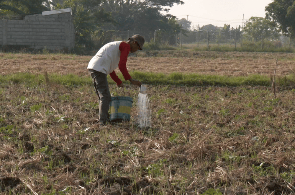 Image via GMA Regional TV One North Central Luzon