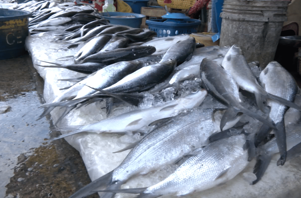 Photo via GMA Regional TV One North Central Luzon