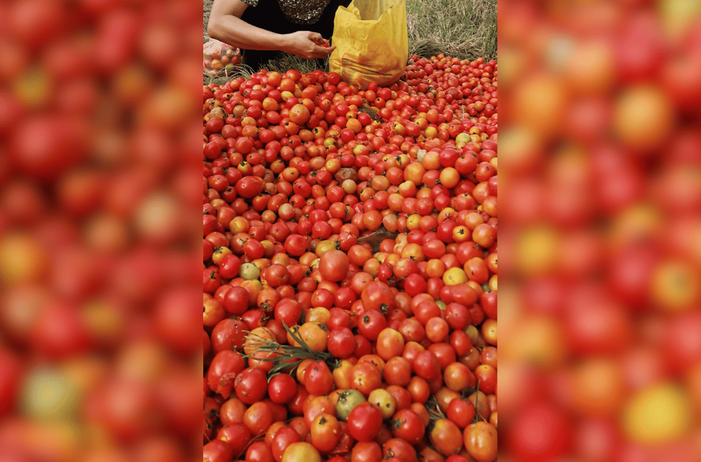 Photo via GMA Regional TV One North Central Luzon