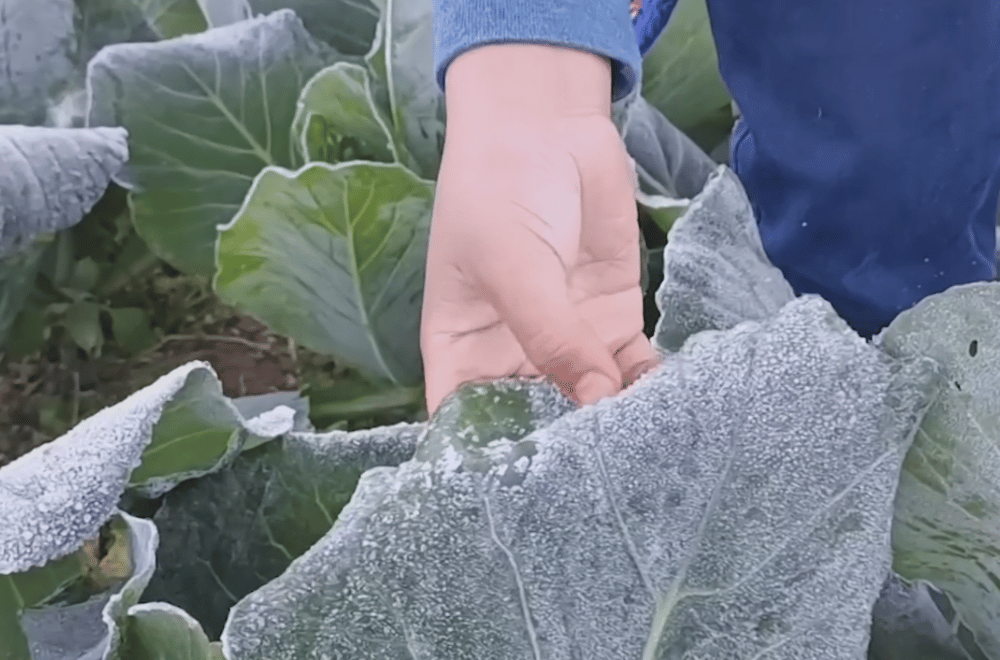 Photo courtesy: PJ HAIGHT