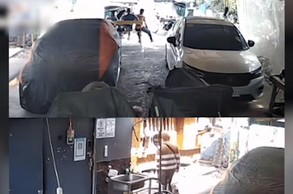 Photo courtesy of PRO 3