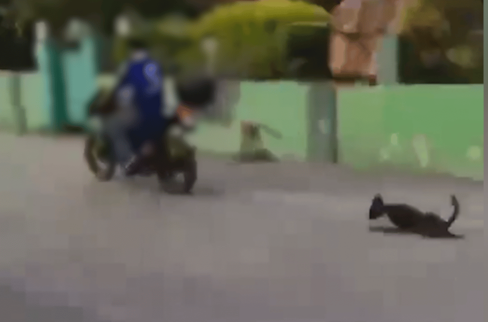 Photo via GMA Regional TV One North Central Luzon