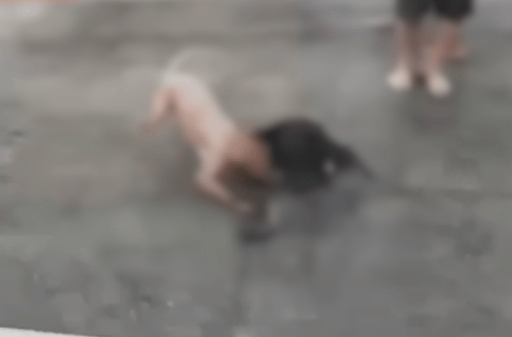 Photo courtesy: PAOCC/AWIP