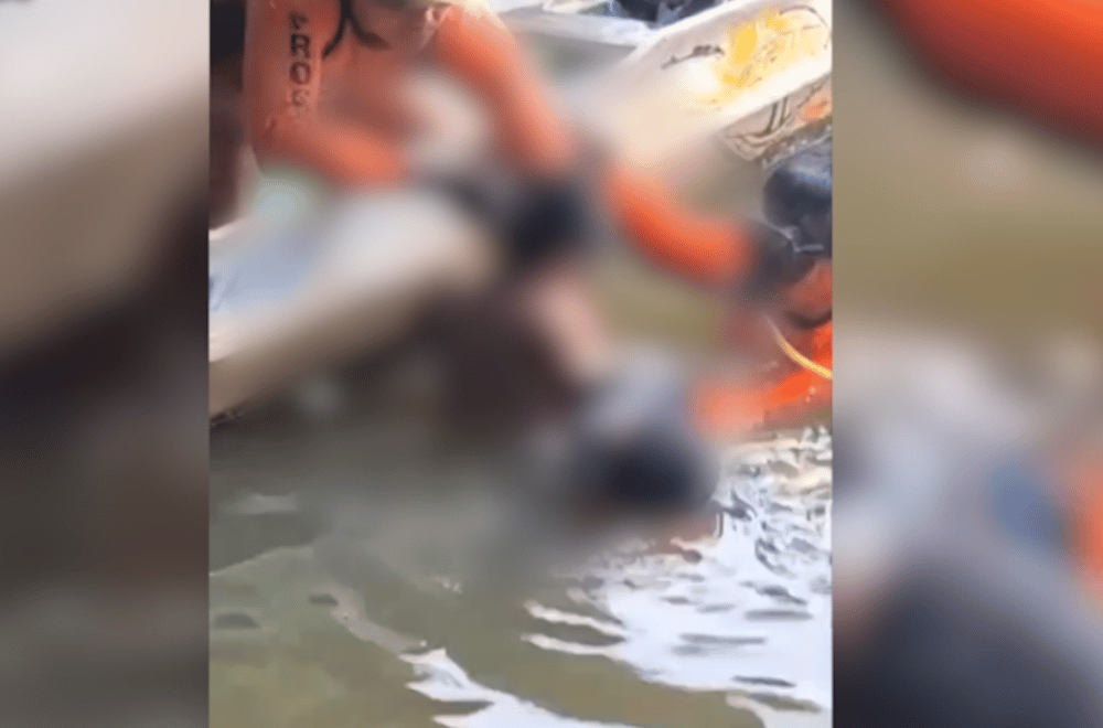 Photo courtesy: Jodie Alvarado