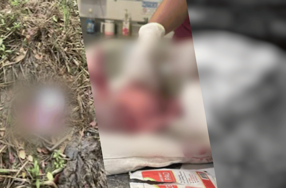 Photo courtesy: Abra PPO, Tabuk CSWD Office, Vergel Islao