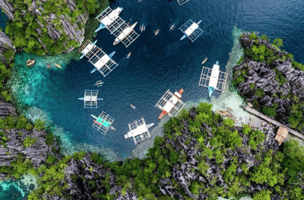 Photo courtesy: Ferdie Cayanga/(Pexels)