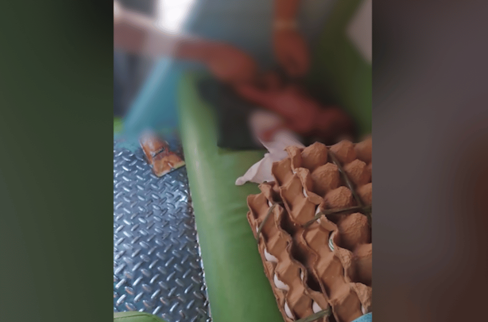 Photo courtesy: Alicia MDRRMO/Kimneth Cariaga