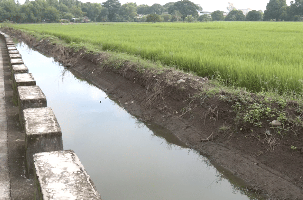 Photo via GMA Regional TV One North Central Luzon