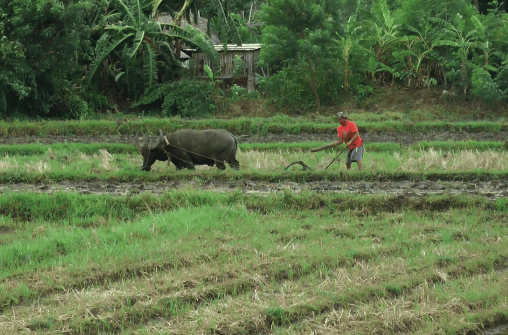 Photo via GMA Regional TV One North Central Luzon