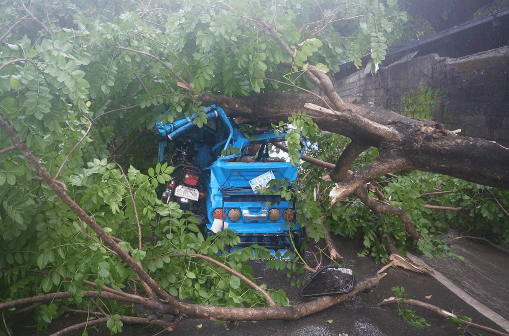 Photo via GMA Regional TV One North Central Luzon