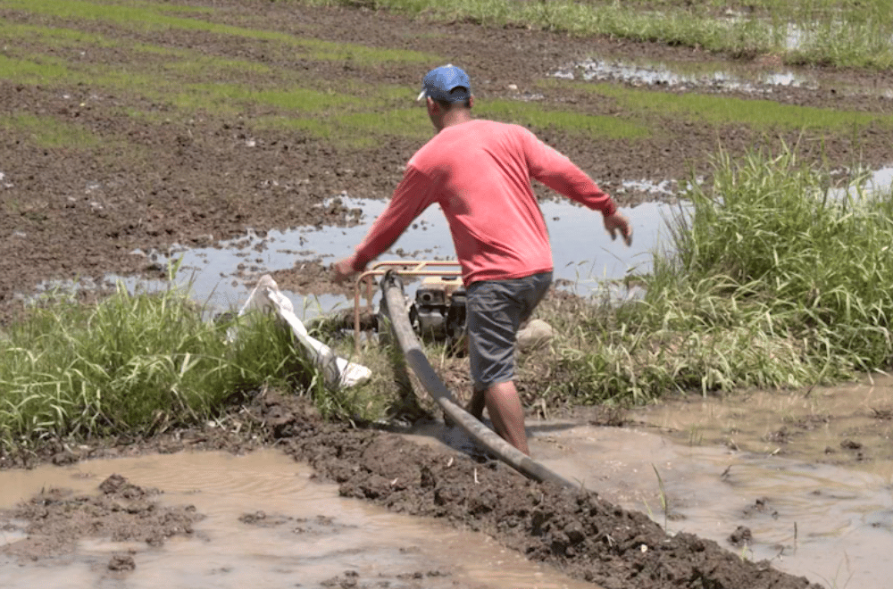 Photo via GMA Regional TV One North Central Luzon