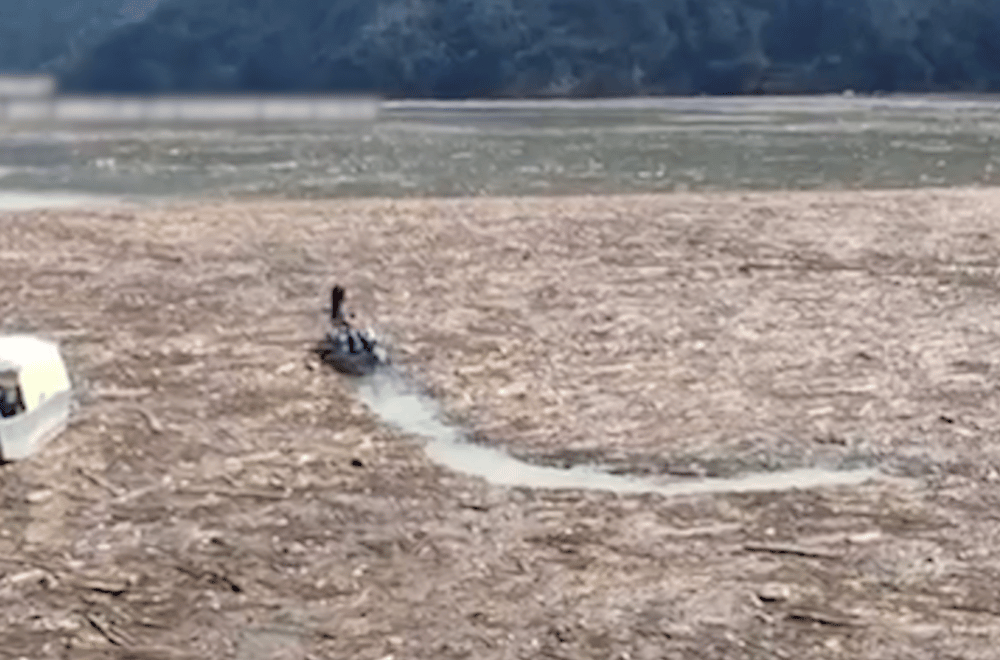 Photo courtesy: Brgy. Ambuclao LGU Kagawad Brian Dalilis