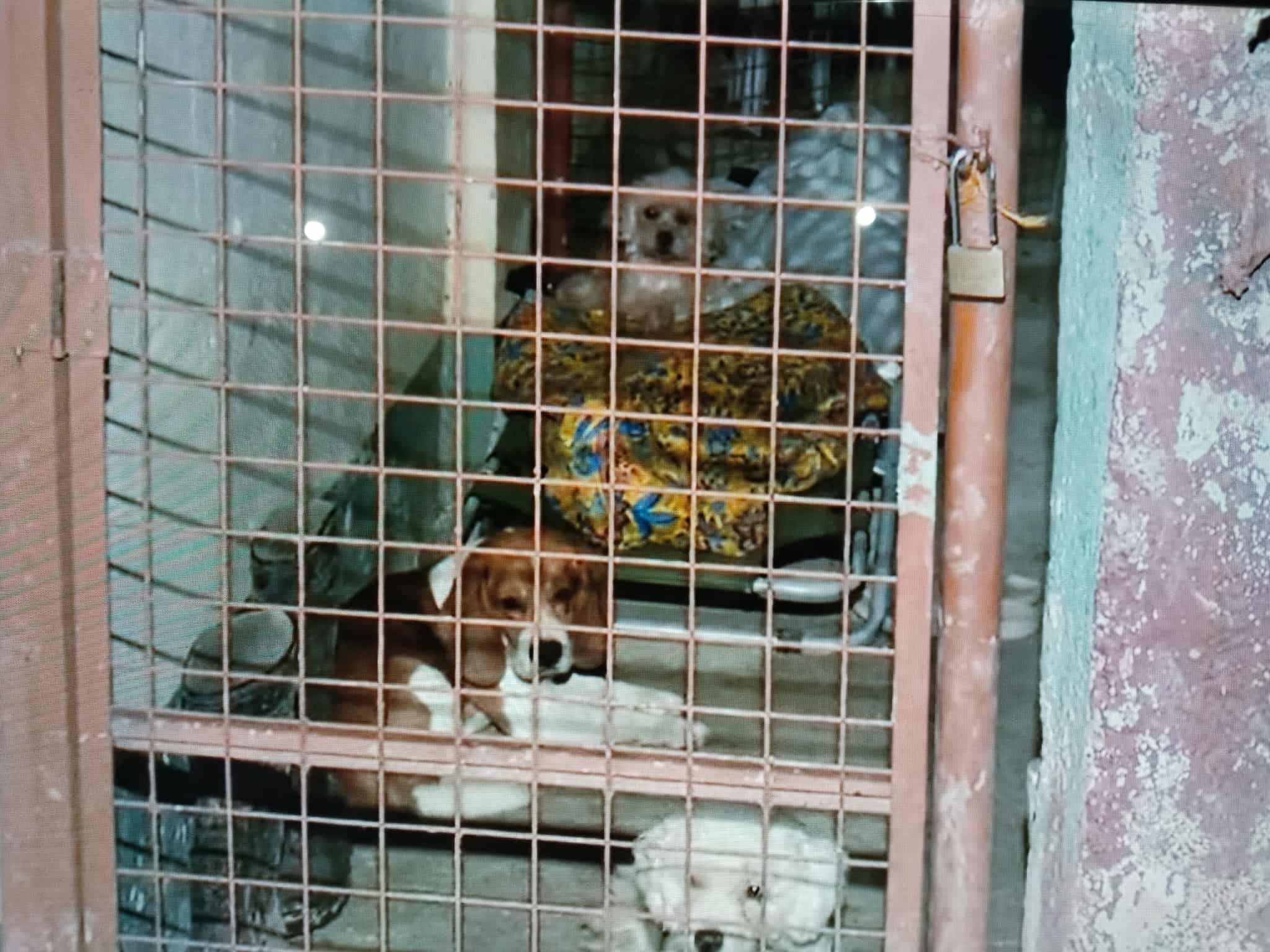 Image via GMA Regional TV Balitang Bisdak