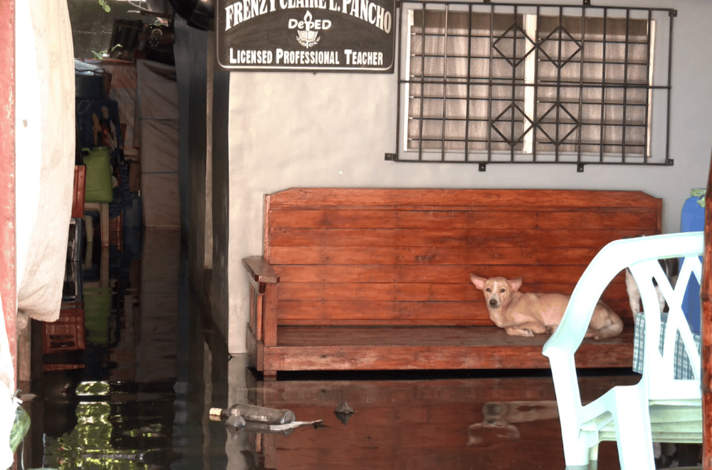 Photo via GMA Regional TV One North Central Luzon