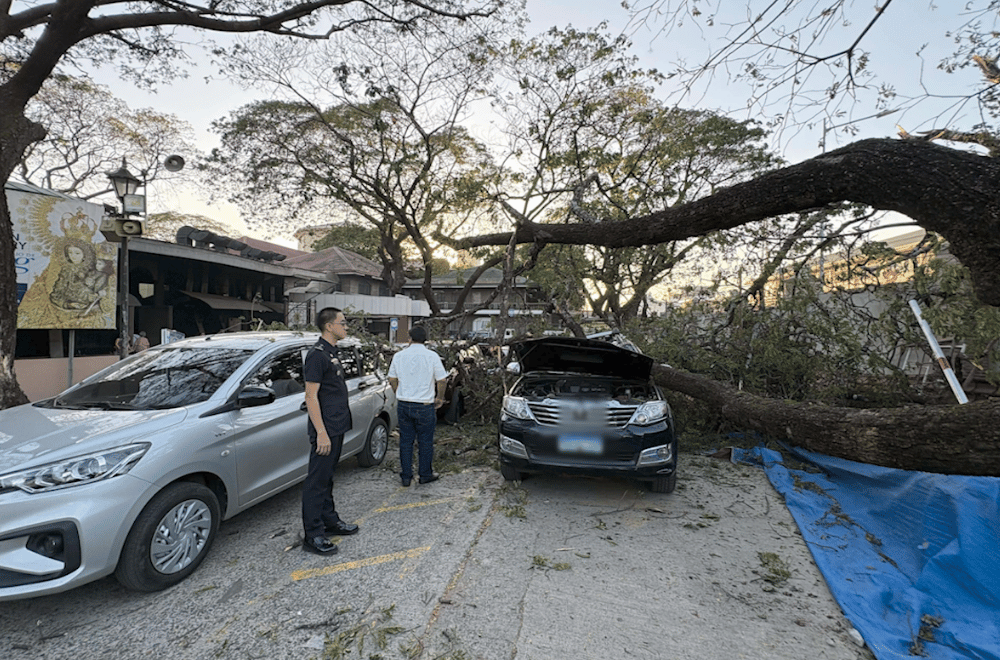 Photo via GMA Regional TV One North Central Luzon