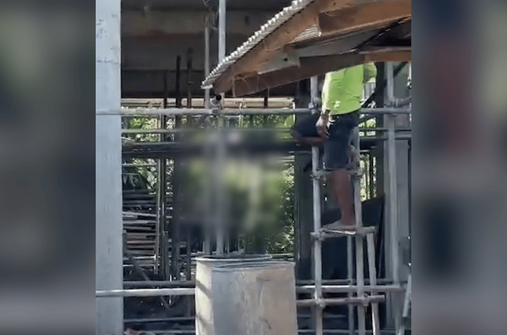 Photo courtesy: MICHAELA CATACUTAN