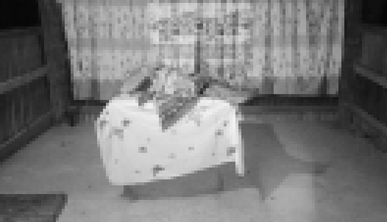 Photo via GMA Regional TV One Mindanao