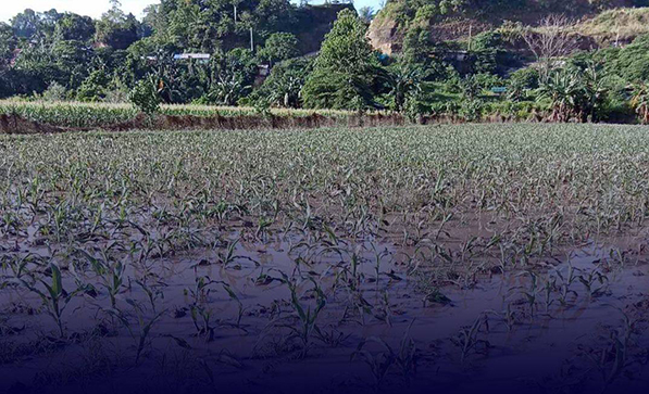 Photo courtesy: Madayaw Davao Facebook