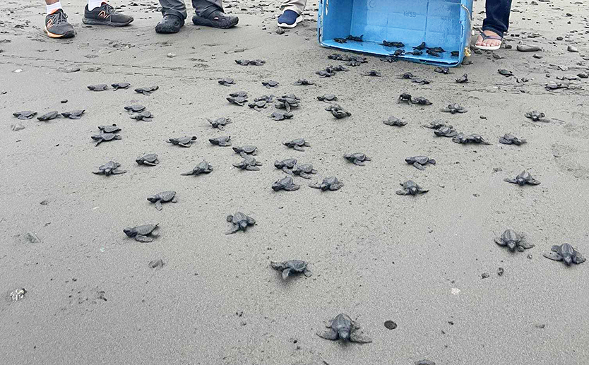 Photo courtesy: DENR-9