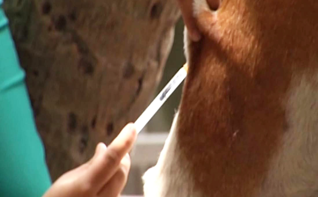 Photo via GMA Regional TV One Mindanao