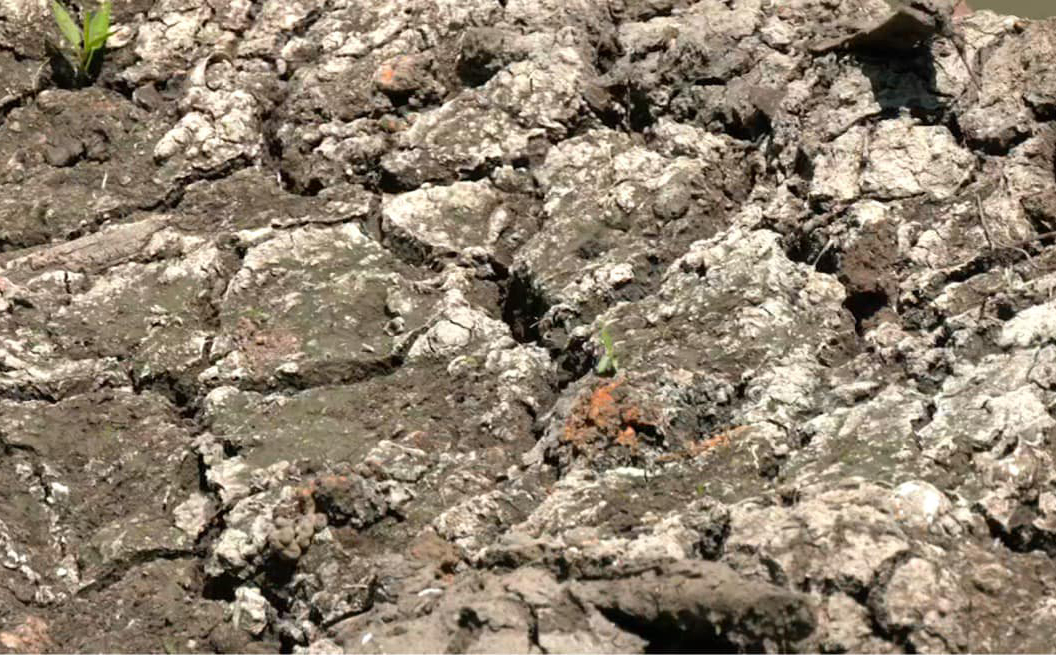 Photo via GMA Regional TV One Mindanao