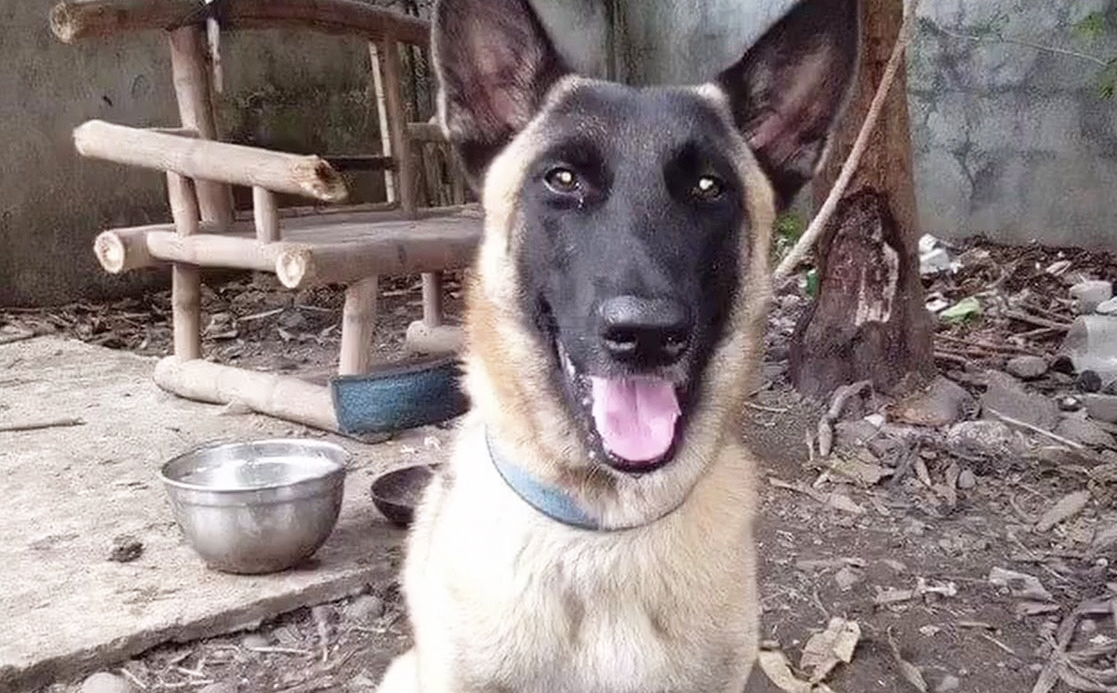 Photo courtesy: Cindy Lyneth Sandigan