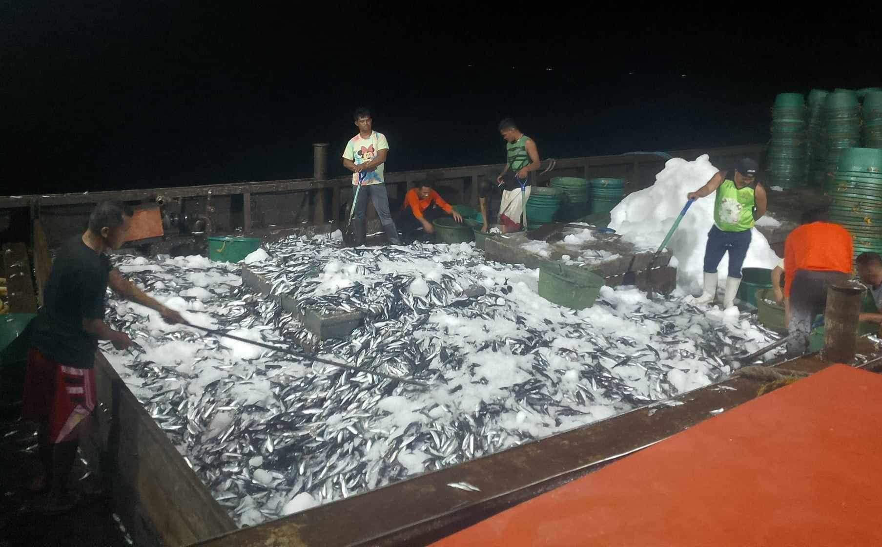 Photo courtesy: Sirawai Municipal Information Center