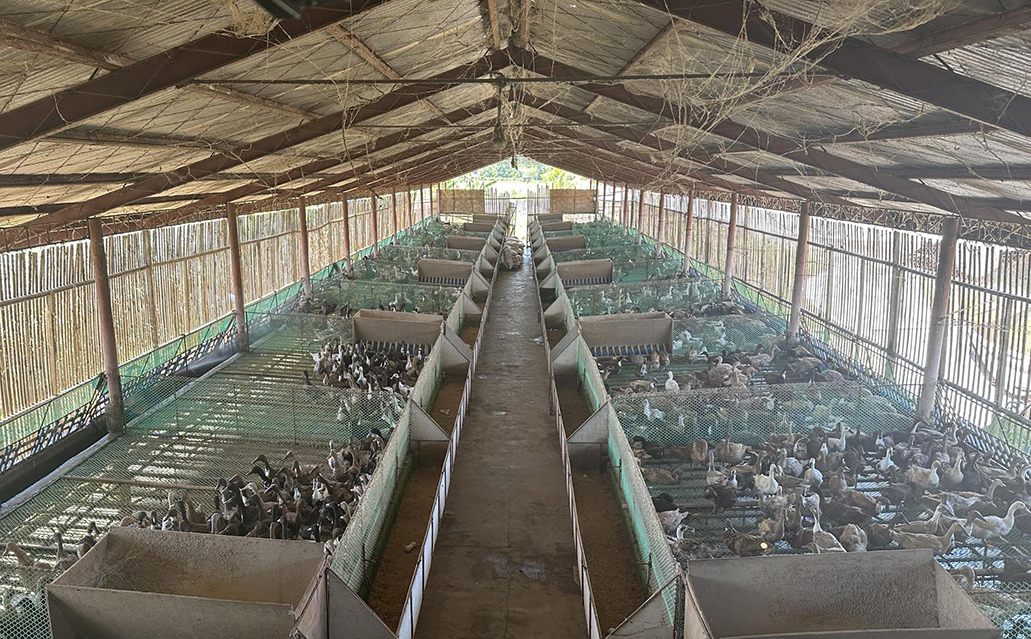 Photo via GMA Regional TV One Mindanao