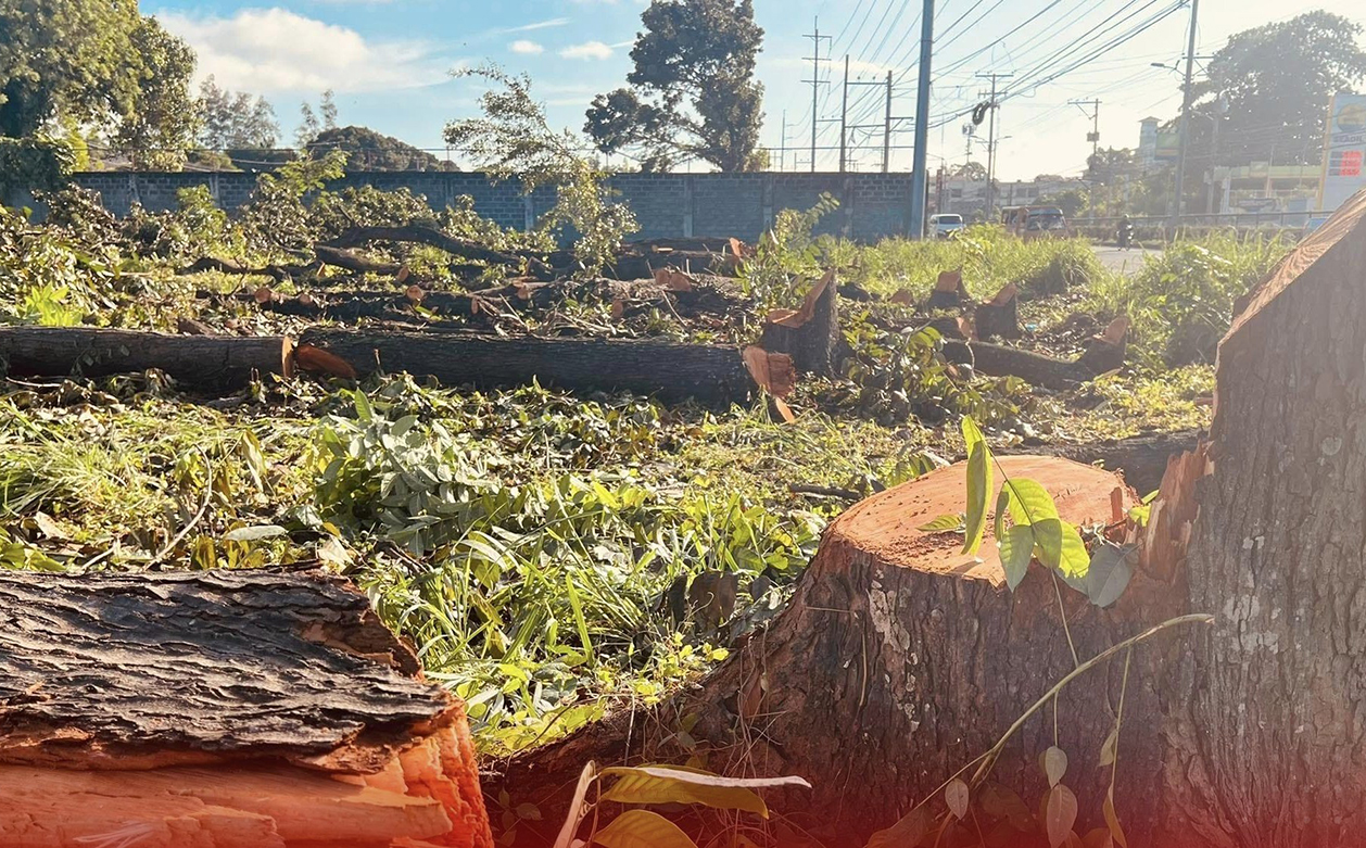 Photo via GMA Super Radyo Davao