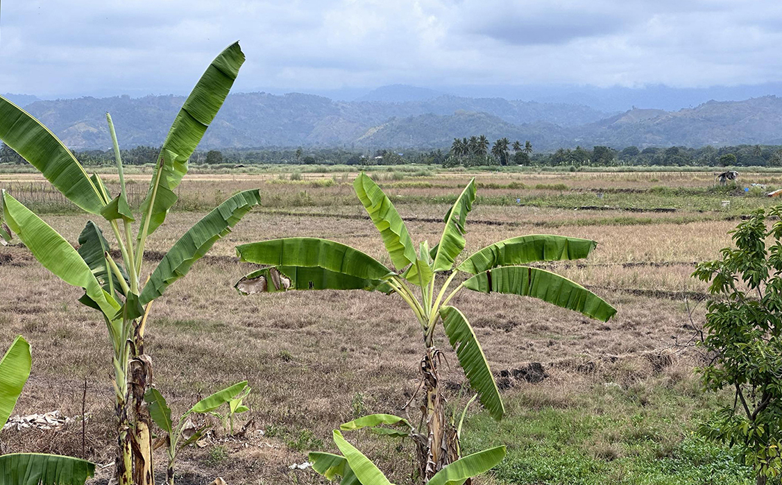 Photo via GMA Regional TV One Mindanao