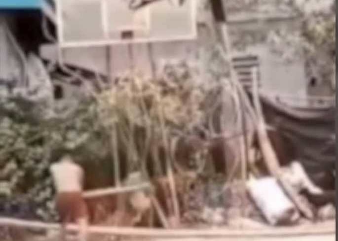 Image courtesy: Roxas Animal Welfare Society