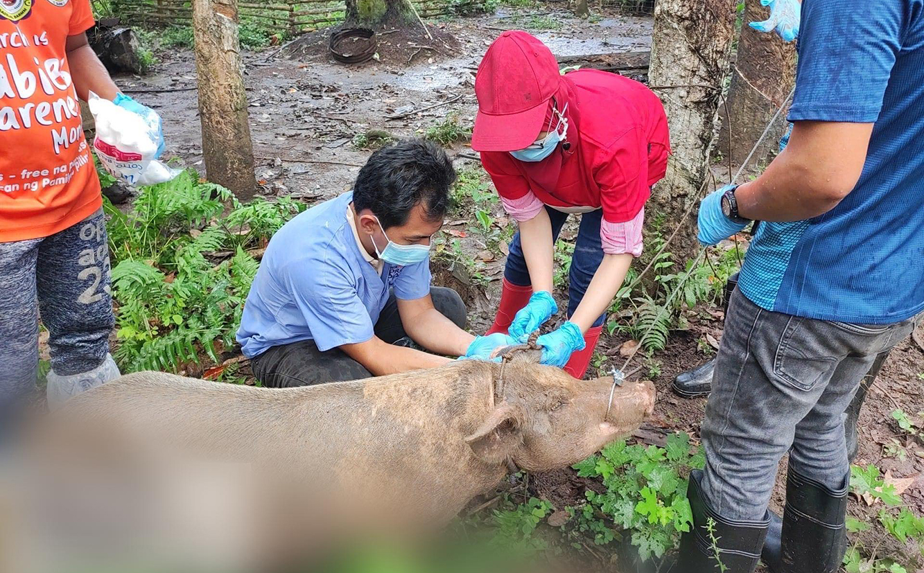 Photo courtesy: Basilan PIO