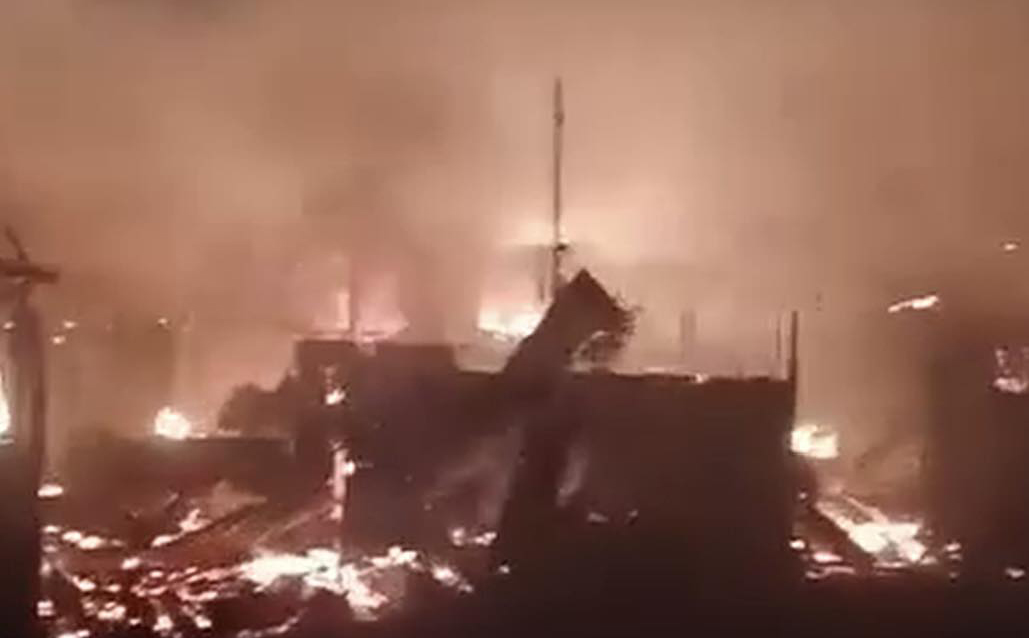 Image from video courtesy of Lexuxie Wilz