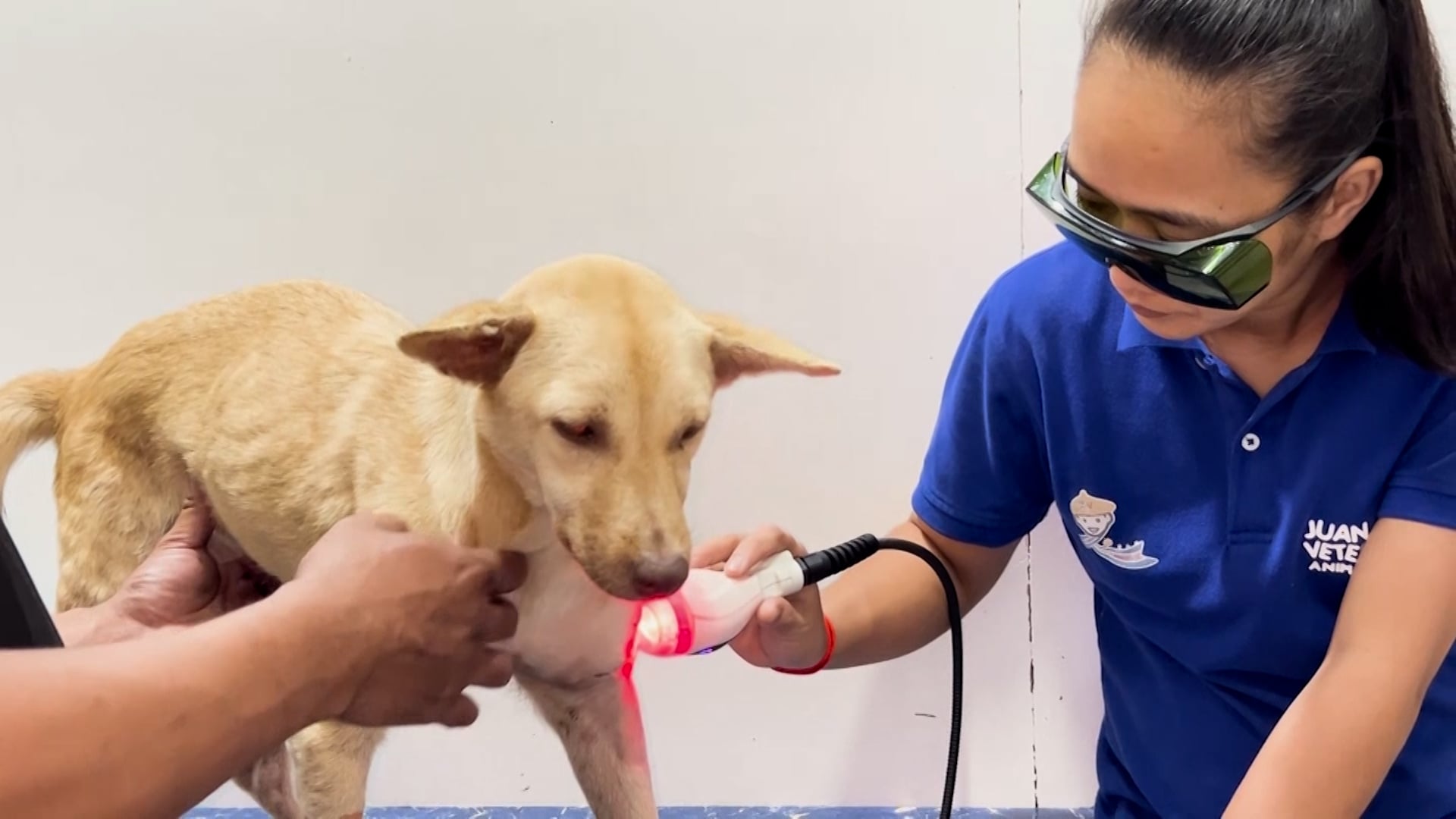 Image courtesy: BACH Project PH