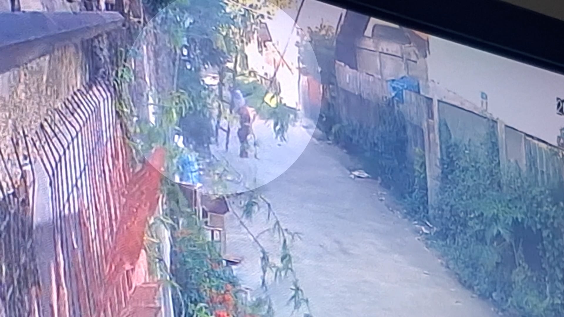 Photo from contributed video