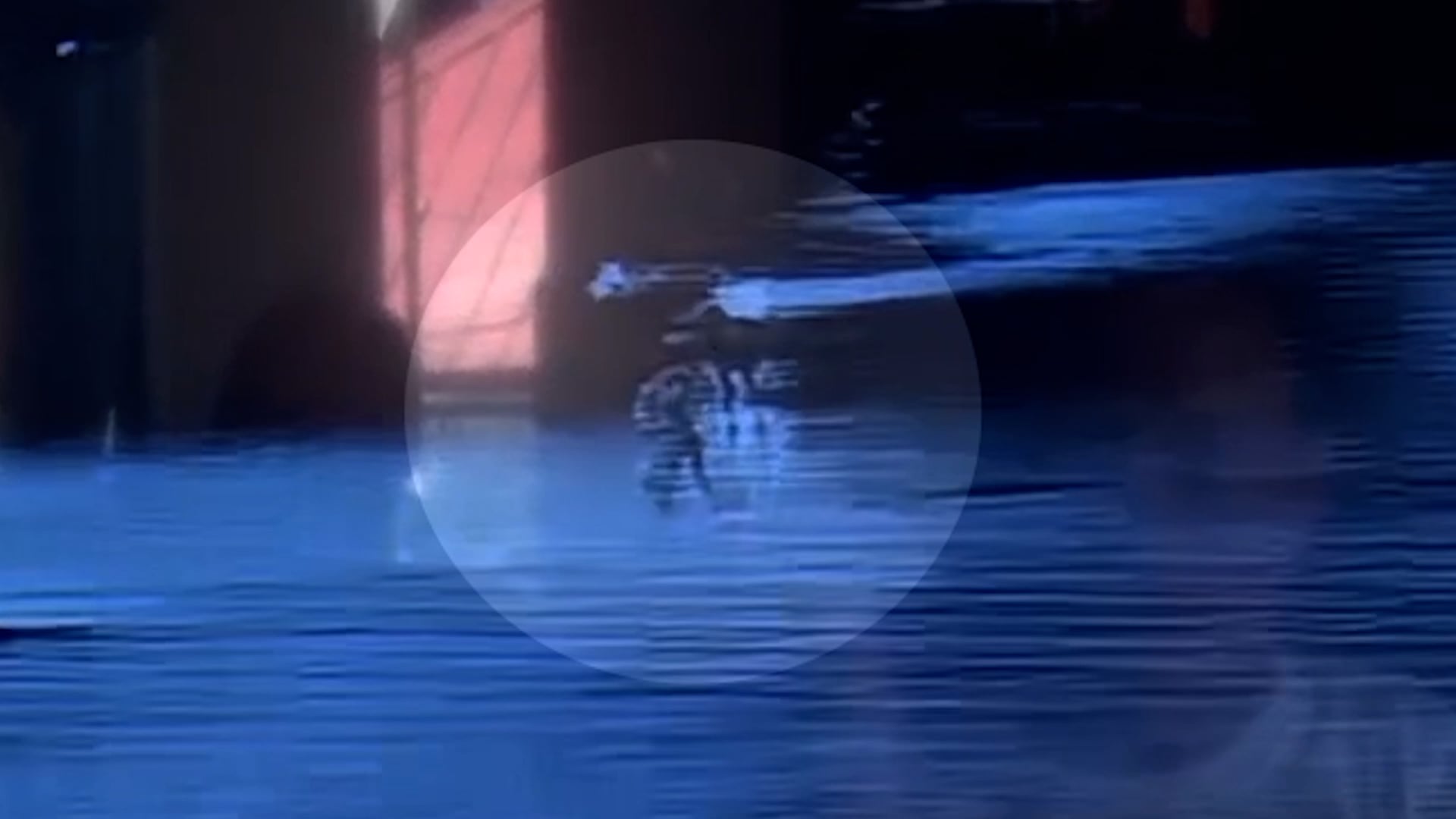 Image from contributed video
