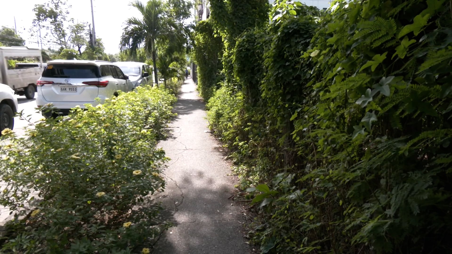 Image via GMA Regional TV One Western Visayas