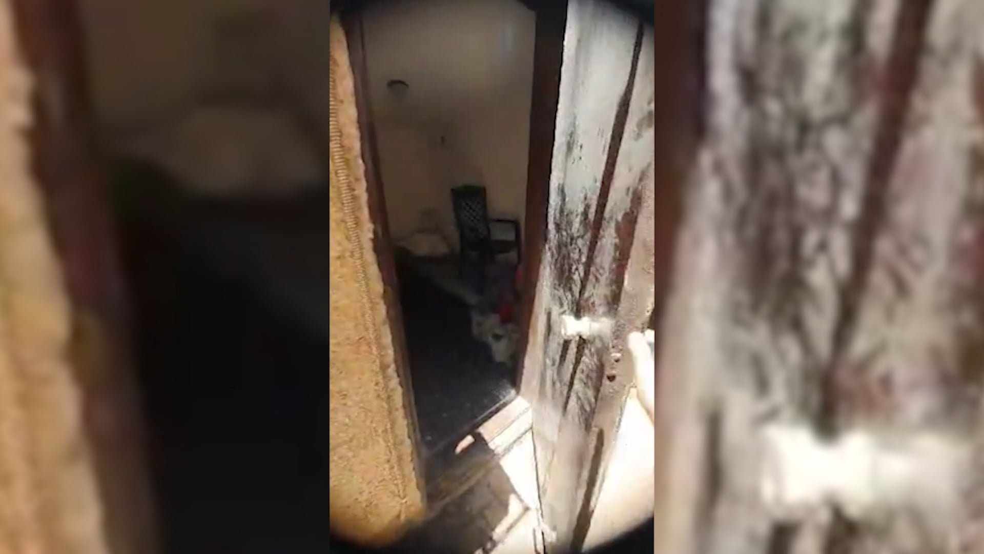 Image courtesy: YouScooper Eric Calma Regala