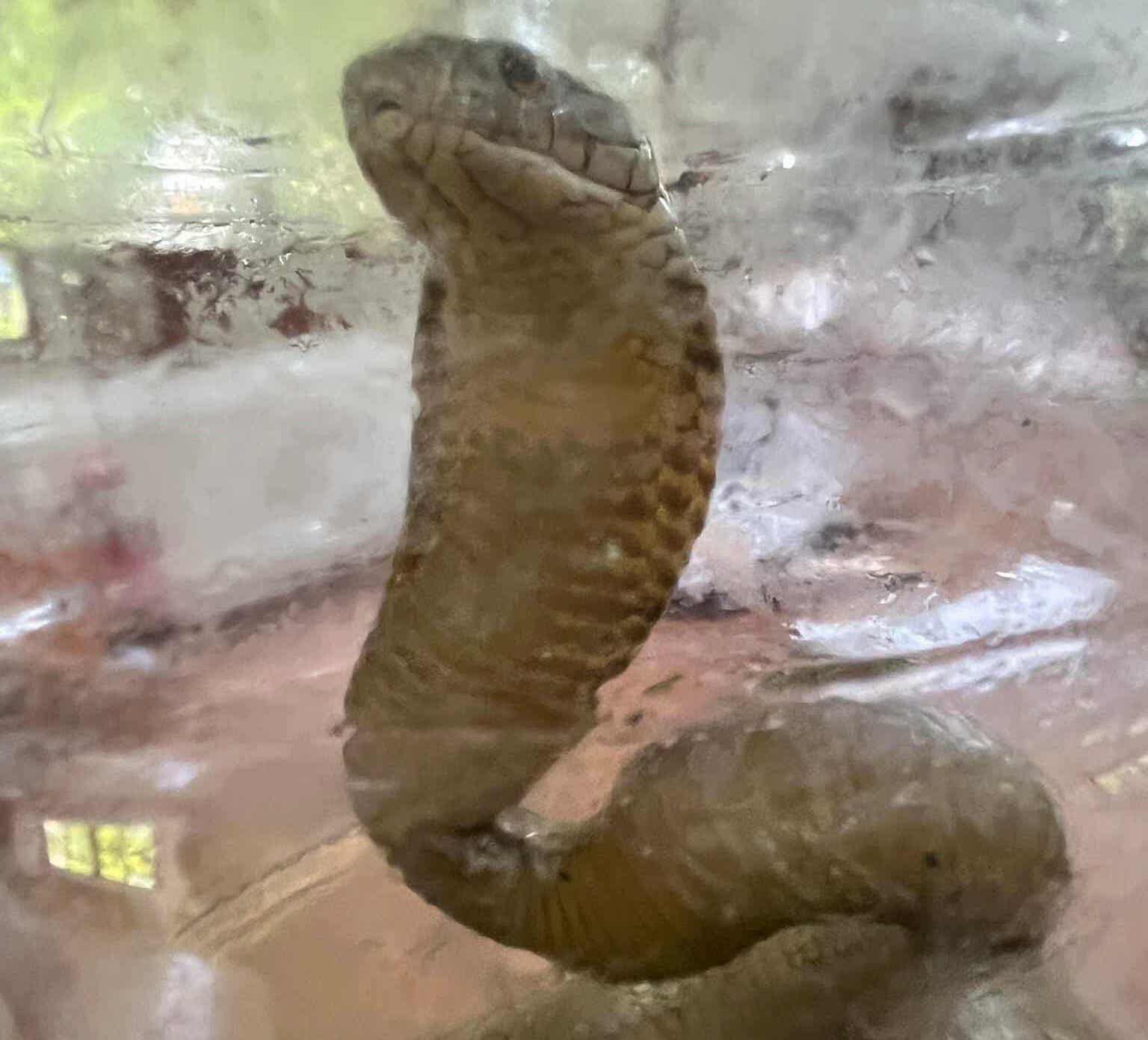 Image courtesy: Miag-ao MENRO