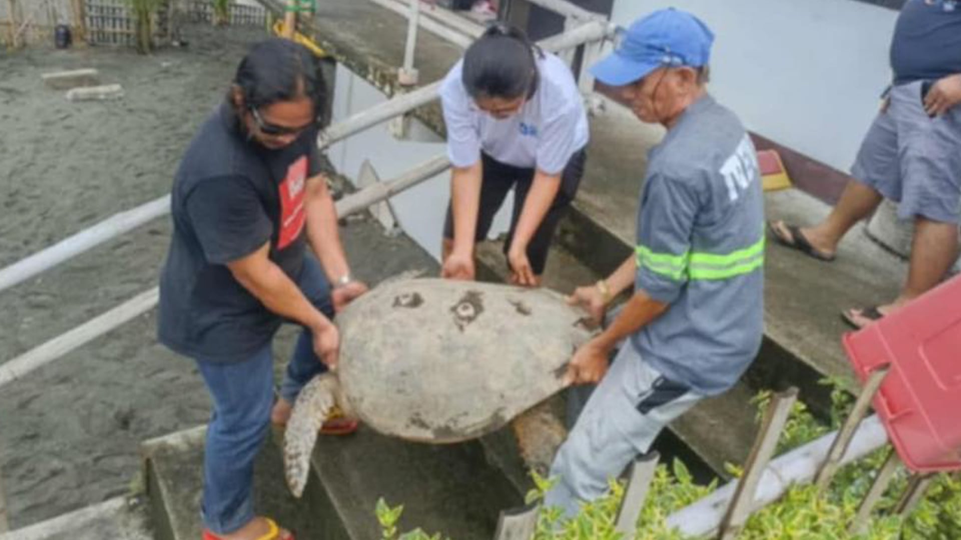 Image via GMA Regional TV One Western Visayas Desk
