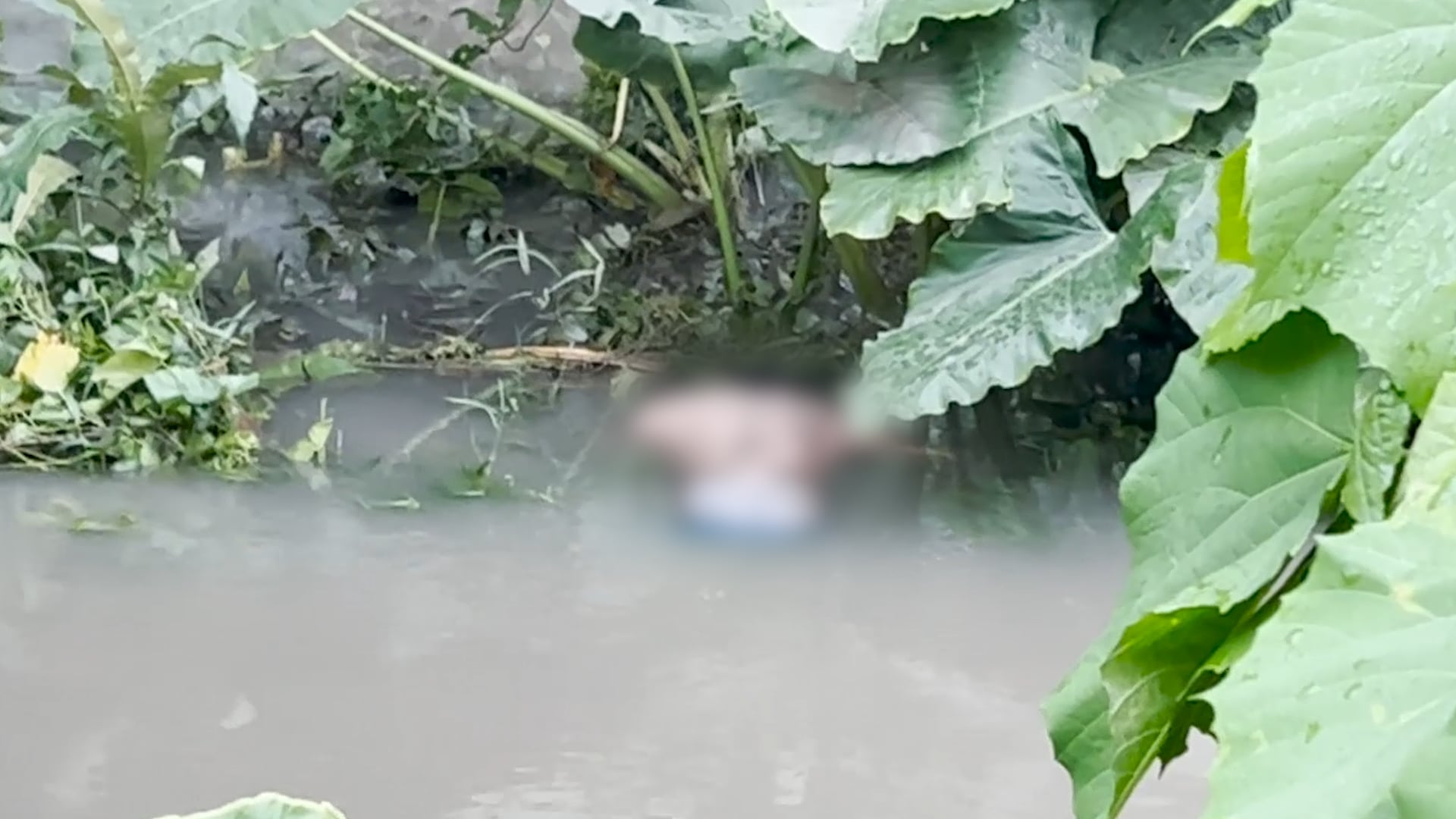 Image via GMA Super Radyo Iloilo