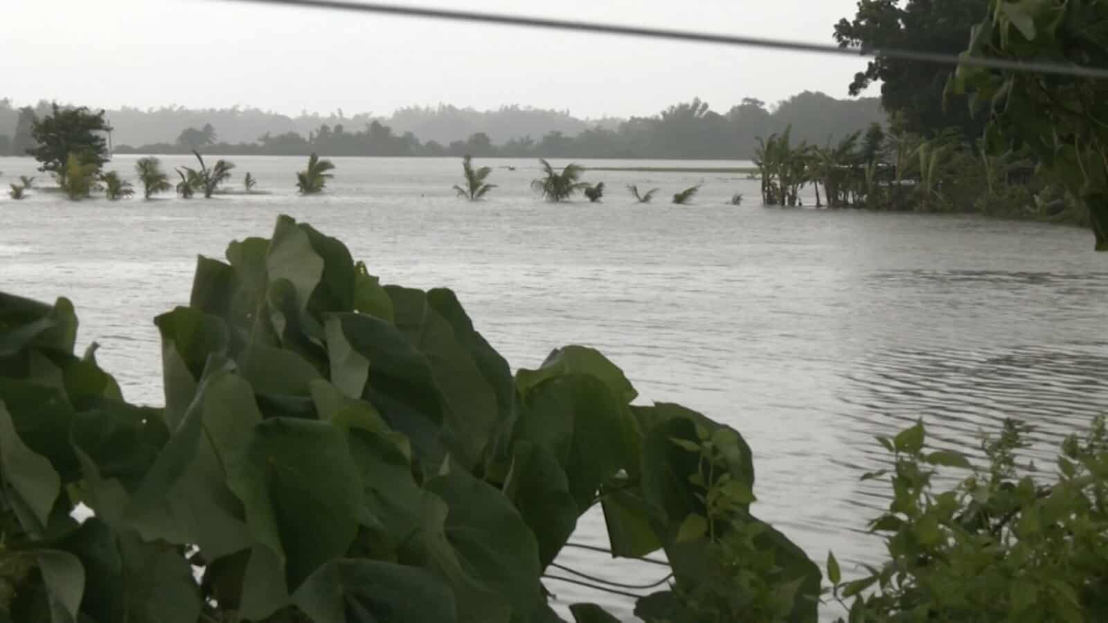 Image via GMA Regional TV One Western Visayas