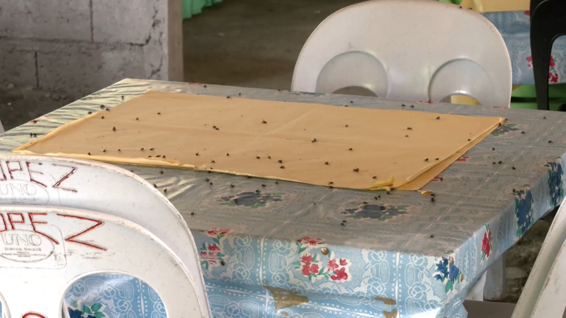 Image via GMA Regional TV One Western Visayas